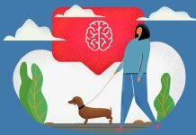 Прогулки и питание клеток мозга – естественный эффект простого упражнения hodba i mozg