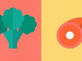 vegetariancy vs mjasoedy