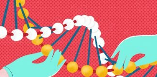 geneticheskie testy vivavita vitajournal