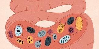 mikrobiom cheloveka vivavita vitajournal