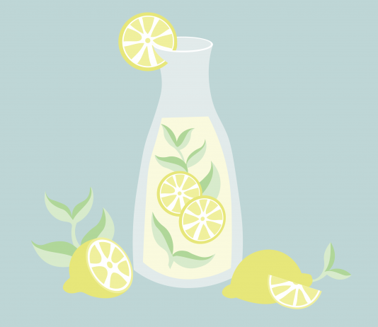 poleznaja limonnaja voda vivavita vitajournal