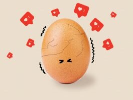 world record egg instagram vivavita vitajournal