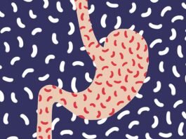 helikobakter pilori vivavita vitajournal