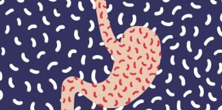 helikobakter pilori vivavita vitajournal