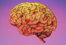 rannjaja diagnostika alcgejmera vivavita vitajournal
