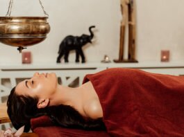ajurveda dlja nachinajushhih