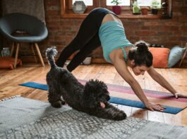 joga onlajn