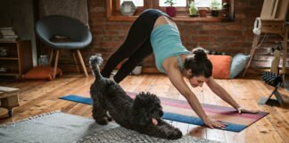 joga onlajn