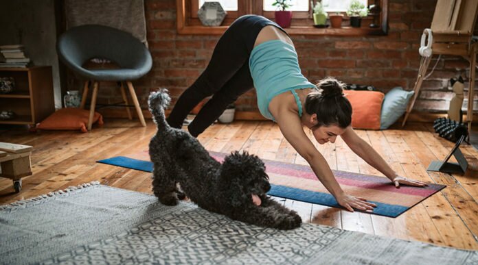 joga onlajn